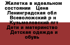 Жилетка в идеальном состоянии › Цена ­ 450 - Ленинградская обл., Всеволожский р-н, Кузьмоловский пгт Дети и материнство » Детская одежда и обувь   